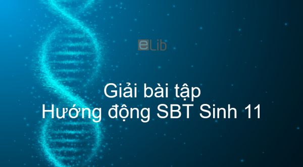 Giải SBT Sinh 11 Bài 23: Hướng động