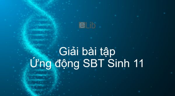 Giải SBT Sinh 11 Bài 24: Ứng động