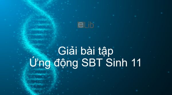 Giải SBT Sinh 11 Bài 24: Ứng động