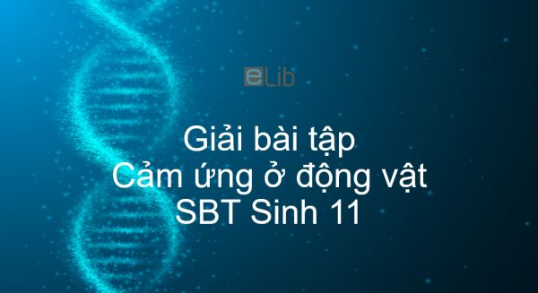 Giải SBT Sinh 11 Bài 26: Cảm ứng ở động vật