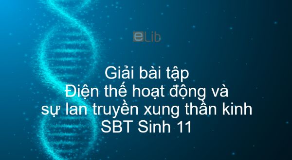 Giải SBT Sinh 11 Bài 29: Điện thế hoạt động và sự lan truyền xung thần kinh