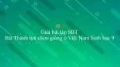 Giải bài tập SBT Sinh học 9 Bài 37: Thành tựu chọn giống ở Việt Nam