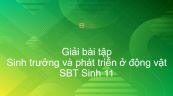 Giải SBT Sinh 11 Bài 37: Sinh trưởng và phát triển ở động vật