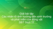 Giải SBT Sinh 11 Bài 38: Các nhân tố ảnh hưởng đến sinh trưởng và phát triển của động vật