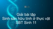 Giải SBT Sinh 11 Bài 42: Sinh sản hữu tính ở thực vật