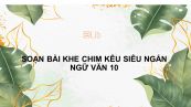 Soạn bài Khe chim kêu Ngữ văn 10 siêu ngắn