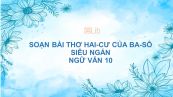 Soạn bài Thơ Hai-cư của Ba-sô Ngữ văn 10 siêu ngắn