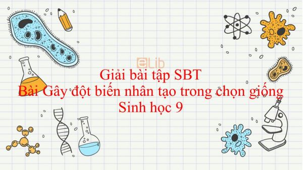 Giải bài tập SBT Sinh học 9 Bài 33: Gây đột biến nhân tạo trong chọn giống