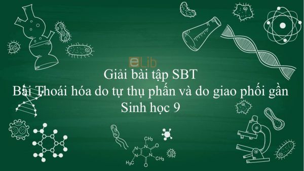 Giải bài tập SBT Sinh học 9 Bài 34: Thoái hóa do tự thụ phấn và do giao phối gần