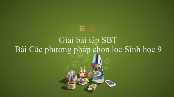 Giải bài tập SBT Sinh học 9 Bài 36: Các phương pháp chọn lọc