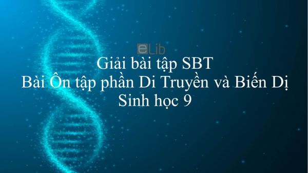 Giải bài tập SBT Sinh học 9 Bài 40: Ôn tập phần Di Truyền và Biến Dị