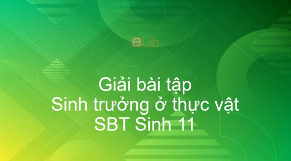 Giải SBT Sinh 11 Bài 34: Sinh trưởng ở thực vật