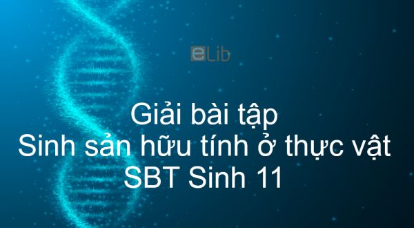 Giải SBT Sinh 11 Bài 42: Sinh sản hữu tính ở thực vật