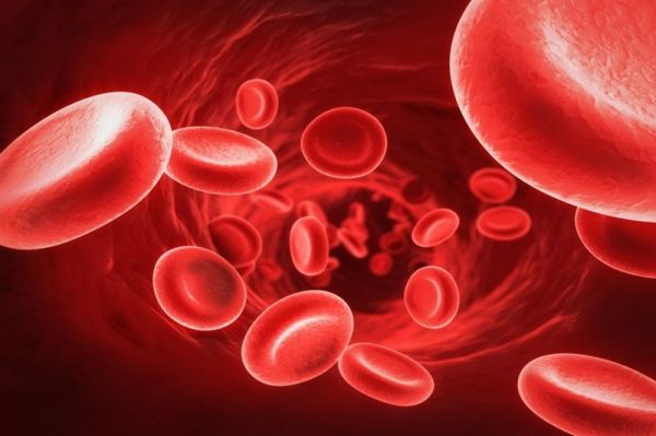 Bệnh Hemoglobin niệu - Triệu chứng, nguyên nhân và cách điều trị