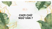 Chơi chữ Ngữ văn 7