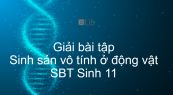 Giải SBT Sinh 11 Bài 44: Sinh sản vô tính ở động vật