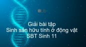 Giải SBT Sinh 11 Bài 45: Sinh sản hữu tính ở động vật