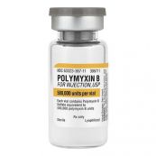 Thuốc Polymyxin B - Điều trị các nhiễm trùng do vi khuẩn