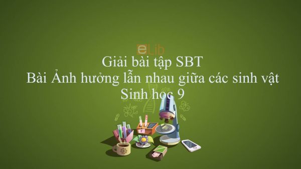 Giải bài tập SBT Sinh học 9 Bài 44: Ảnh hưởng lẫn nhau giữa các sinh vật