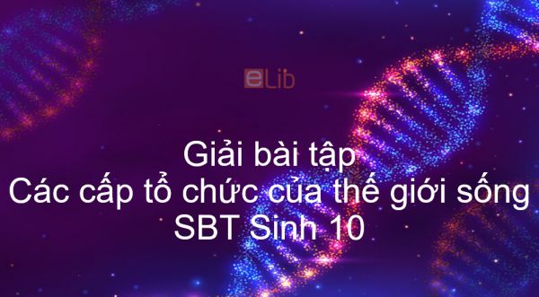 Giải SBT Sinh 10 Bài 1: Các cấp tổ chức của thế giới sống