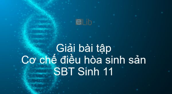 Giải SBT Sinh 11 Bài 46: Cơ chế điều hòa sinh sản