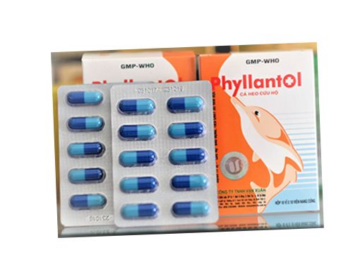 Thuốc Phyllantol - Điều trị bệnh tiêu hóa, gan mật