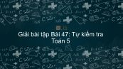 Giải bài tập VBT Toán 5 Bài 47: Tự kiểm tra