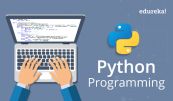 Biến và kiểu dữ liệu trong Python