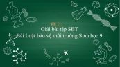 Giải bài tập SBT Sinh học 9 Bài 61: Luật bảo vệ môi trường