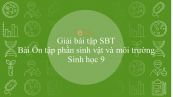 Giải bài tập SBT Sinh học 9 Bài 63: Ôn tập phần sinh vật và môi trường