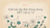 Giải bài tập SBT Vật Lí 12 Bài 9: Sóng dừng
