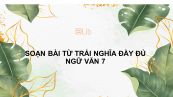 Soạn bài Từ trái nghĩa Ngữ văn 7 đầy đủ