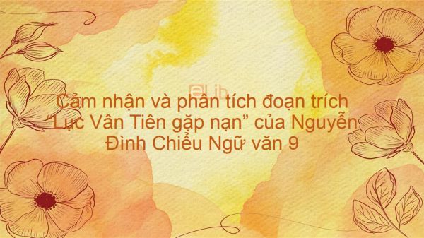 Cảm nhận và phân tích đoạn trích Lục Vân Tiên gặp nạn - Nguyễn Đình Chiểu