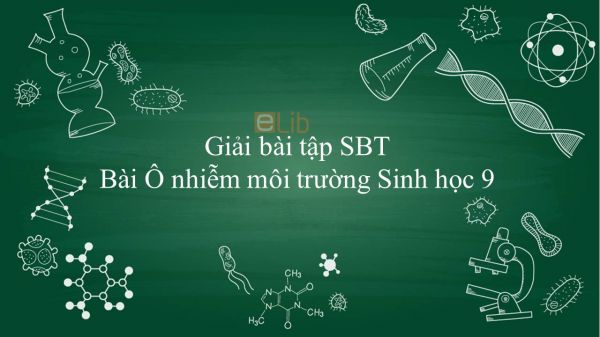 Giải bài tập SBT Sinh học 9 Bài 54: Ô nhiễm môi trường