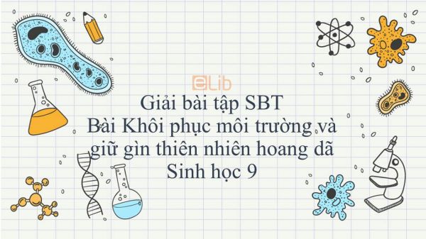 Giải bài tập SBT Sinh học 9 Bài 59: Khôi phục môi trường và giữ gìn thiên nhiên hoang dã