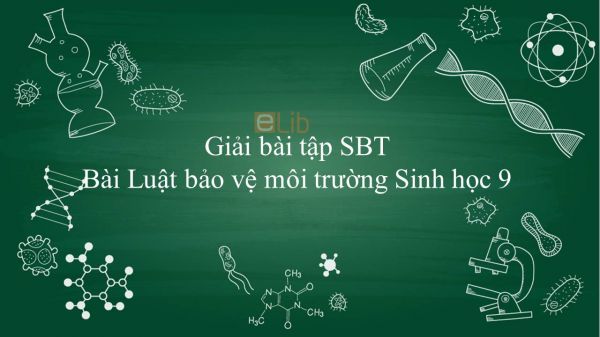 Giải bài tập SBT Sinh học 9 Bài 61: Luật bảo vệ môi trường