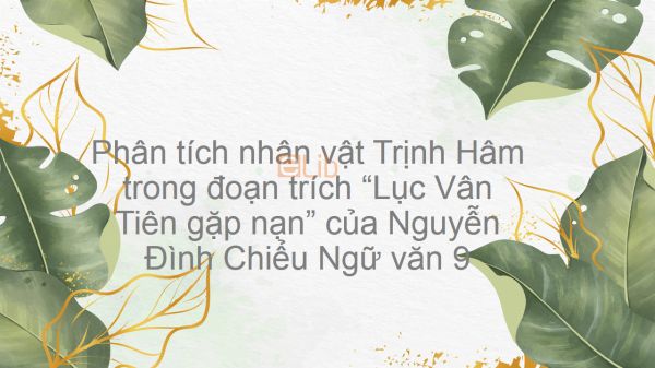 Phân tích nhân vật Trịnh Hâm trong đoạn trích Lục Vân Tiên gặp nạn - Nguyễn Đình Chiểu