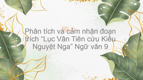 Phân tích và cảm nhận đoạn trích Lục Vân Tiên cứu Kiều Nguyệt Nga - Nguyễn Đình Chiểu