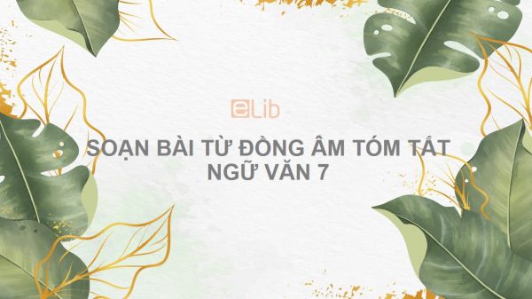 Soạn bài Từ đồng âm Ngữ văn 7 tóm tắt