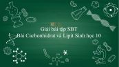 Giải bài tập SBT Sinh học 10 Bài 4: Cacbonhidrat và Lipit