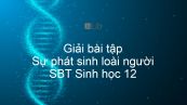 Giải SBT Sinh 12 Bài 34: Sự phát sinh loài người