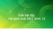 Giải SBT Sinh 12 Bài 42: Hệ sinh thái