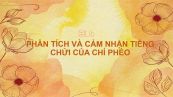 Phân tích và cảm nhận tiếng chửi của Chí Phèo trong tác phẩm Chí Phèo của Nam Cao