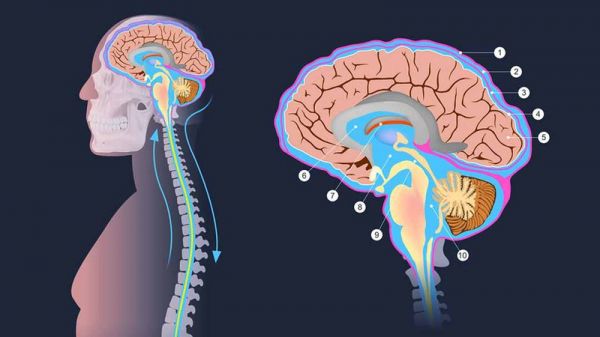 Bệnh giả u não - Triệu chứng, nguyên nhân và cách điều trị