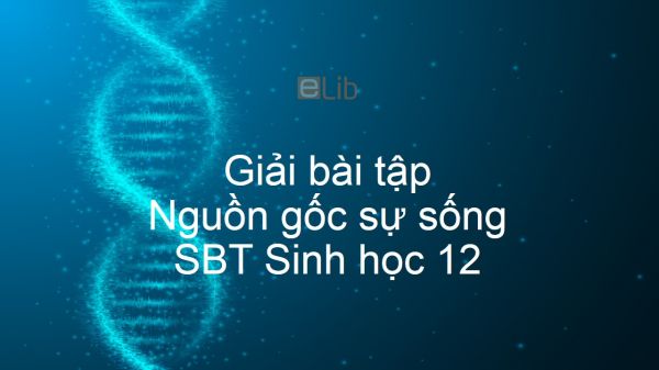 Giải SBT Sinh 12 Bài 32: Nguồn gốc sự sống