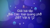 Giải bài tập SBT Vật Lí 12 Bài 26: Các loại quang phổ