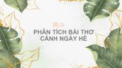 Phân tích bài thơ Cảnh ngày hè của Nguyễn Trãi