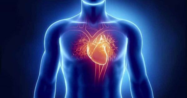 Bệnh dị dạng động mạch vành - Triệu chứng, nguyên nhân và cách điều trị