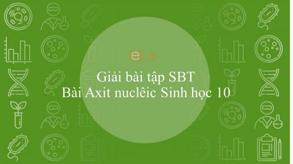 Giải bài tập SBT Sinh học 10 Bài 6: Axit nuclêic