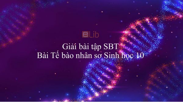 Giải bài tập SBT Sinh học 10 Bài 7: Tế bào nhân sơ